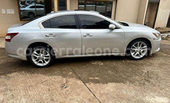 Buy Used Nissan Maxima Other Car in Freetown in Western Urban Buy Used Nissan Maxima Other Car in Freetown in Western Urban