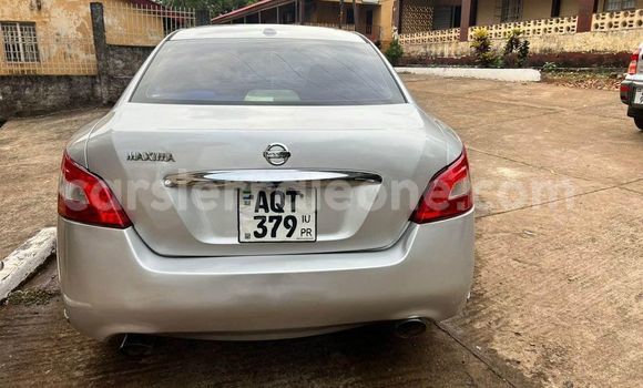 Buy Used Nissan Maxima Other Car in Freetown in Western Urban Buy Used Nissan Maxima Other Car in Freetown in Western Urban