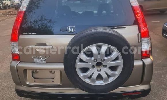 Buy Used Honda Accord Other Car in Binkolo in Bombali Buy Used Honda Accord Other Car in Binkolo in Bombali