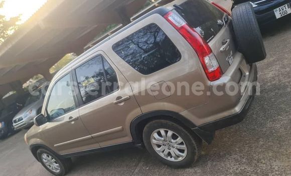 Buy Used Honda Accord Other Car in Binkolo in Bombali Buy Used Honda Accord Other Car in Binkolo in Bombali