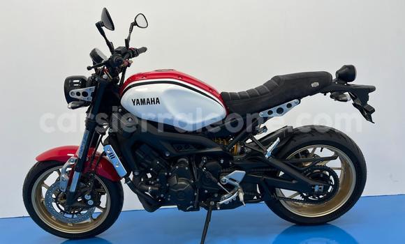 Buy Used Yamaha XSR Red Bike in Freetown in Western Urban