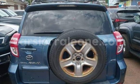Buy Used Toyota RAV4 Blue Car in Freetown in Western Urban Buy Used Toyota RAV4 Blue Car in Freetown in Western Urban