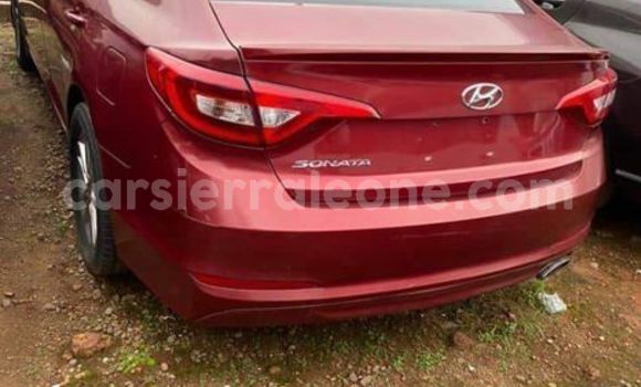 Buy Used Hyundai Sonata Red Car in Freetown in Western Urban Buy Used Hyundai Sonata Red Car in Freetown in Western Urban