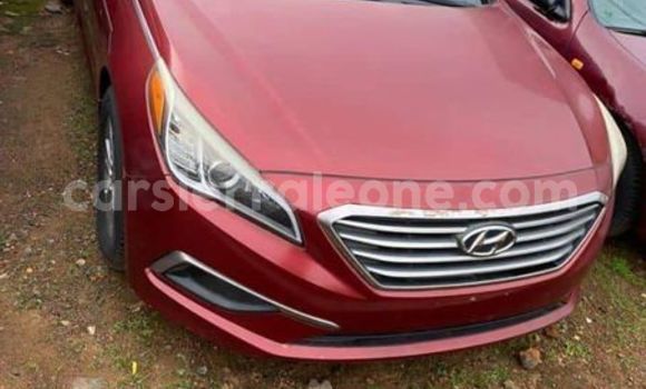 Buy Used Hyundai Sonata Red Car in Freetown in Western Urban Buy Used Hyundai Sonata Red Car in Freetown in Western Urban