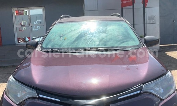 Buy New Toyota RAV4 Other Car in Freetown in Western Urban Buy New Toyota RAV4 Other Car in Freetown in Western Urban