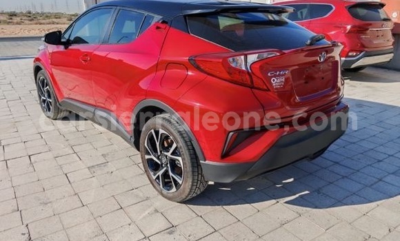 Buy Import Toyota C-HR Red Car in Freetown in Western Urban Buy Import Toyota C-HR Red Car in Freetown in Western Urban