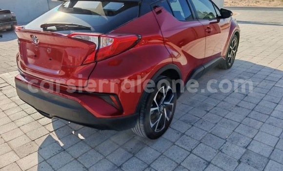 Buy Import Toyota C-HR Red Car in Freetown in Western Urban Buy Import Toyota C-HR Red Car in Freetown in Western Urban