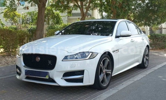 Buy Used Jaguar XF White Car in Freetown in Western Urban