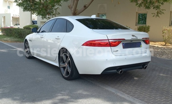 Buy Used Jaguar XF White Car in Freetown in Western Urban Buy Used Jaguar XF White Car in Freetown in Western Urban