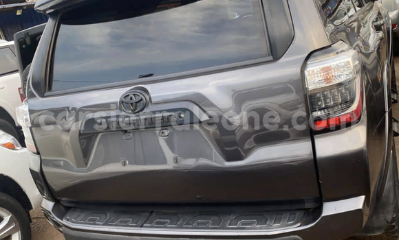 Buy Import Toyota 4Runner Other Car in Freetown in Western Urban Buy Import Toyota 4Runner Other Car in Freetown in Western Urban
