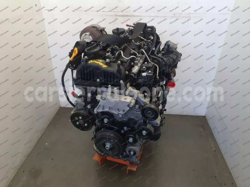 Big with watermark 1