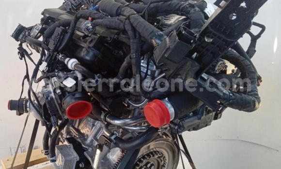 Medium with watermark s l16002