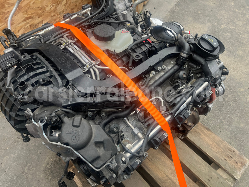 Big with watermark g