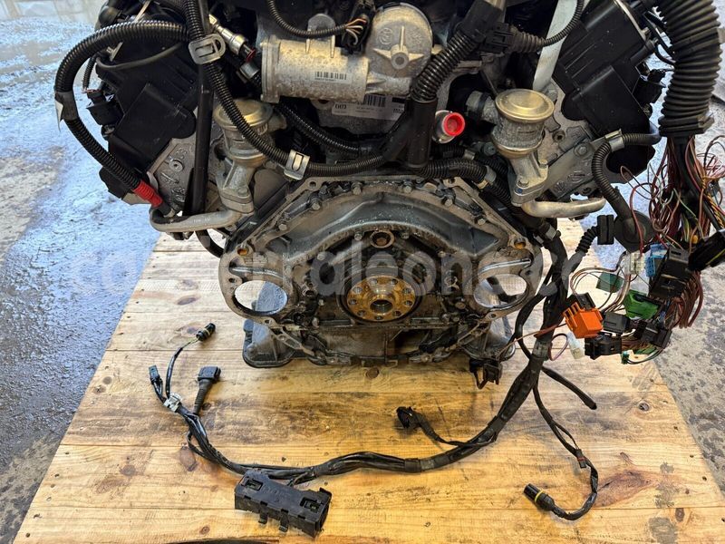 Big with watermark 4