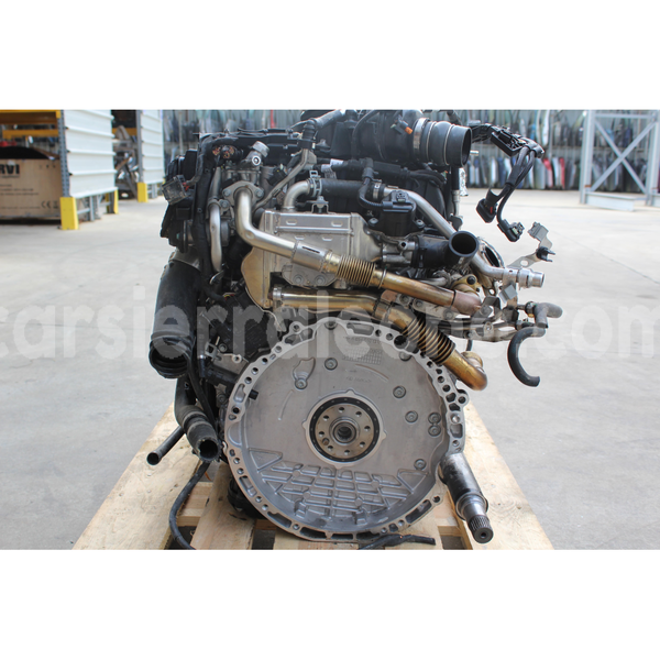 Big with watermark s l16001