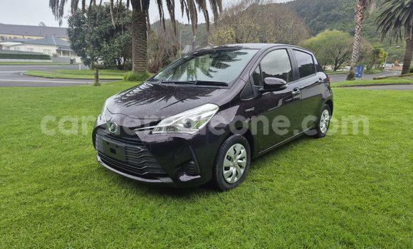 Buy Used Toyota Vitz Black Car in Freetown in Western Urban
