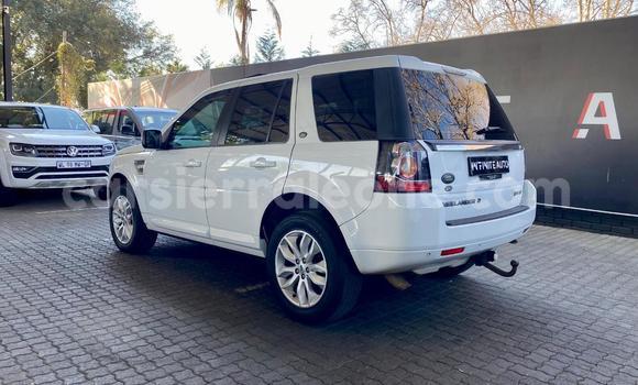 Buy Used Land Rover Freelander White Car in Freetown in Western Urban Buy Used Land Rover Freelander White Car in Freetown in Western Urban