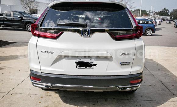 Buy Used Honda CR–V White Car in Freetown in Western Urban Buy Used Honda CR–V White Car in Freetown in Western Urban