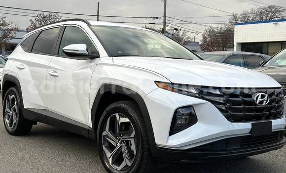 Buy Used Hyundai Tucson White Car in Freetown in Western Urban