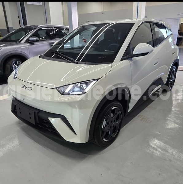 Big with watermark byd seagull western urban freetown 8280