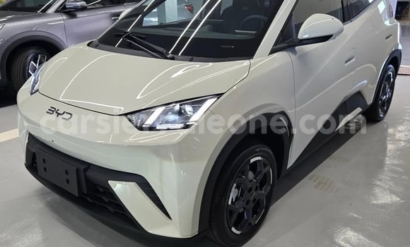 Acheter Occasion Voiture BYD Seagull Blanc à Freetown, Western Urban