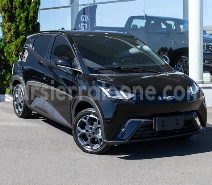 Big with watermark byd seagull western urban freetown 8280