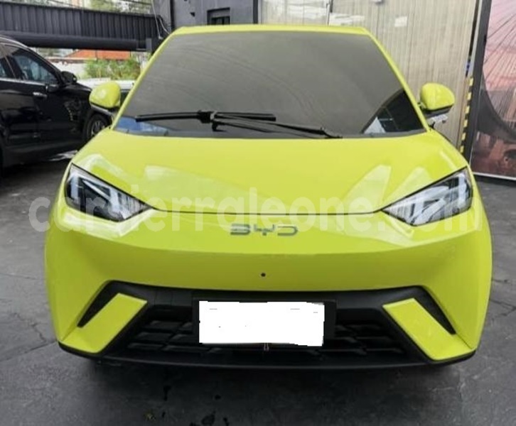 Big with watermark byd seagull western urban freetown 8280