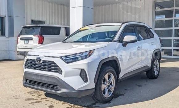 Buy Used Toyota RAV4 White Car in Bumpe in Bo
