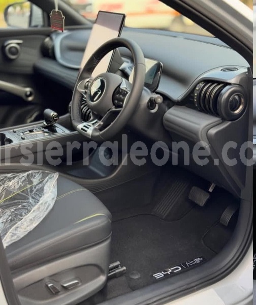 Big with watermark byd atto3 western urban freetown 8311
