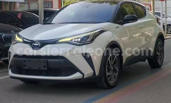 Buy Used Toyota C-HR White Car in Freetown in Western Urban