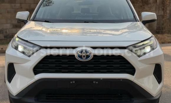 Buy Used Toyota RAV4 White Car in Freetown in Western Urban