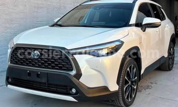 Buy Used Toyota Corolla Cross White Car in Freetown in Western Urban