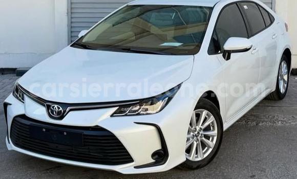 Buy Used Toyota Corolla White Car in Freetown in Western Urban