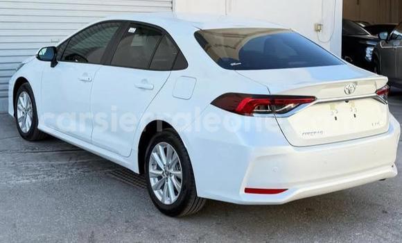 Buy Used Toyota Corolla White Car in Freetown in Western Urban Buy Used Toyota Corolla White Car in Freetown in Western Urban