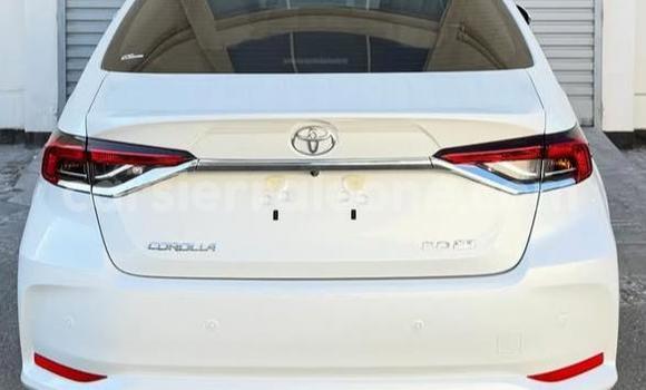 Buy Used Toyota Corolla White Car in Freetown in Western Urban Buy Used Toyota Corolla White Car in Freetown in Western Urban