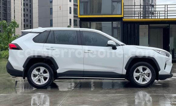 Buy Used Toyota RAV4 White Car in Freetown in Western Urban Buy Used Toyota RAV4 White Car in Freetown in Western Urban