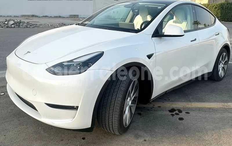 Big with watermark tesla model x western urban freetown 8394