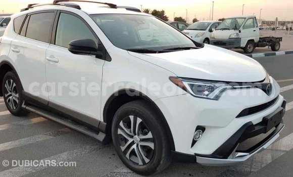 Buy Import Toyota RAV4 White Car in Import - Dubai in Kailahun Buy Import Toyota RAV4 White Car in Import - Dubai in Kailahun