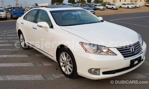 Buy Import Lexus ES White Car in Import - Dubai in Kailahun Buy Import Lexus ES White Car in Import - Dubai in Kailahun