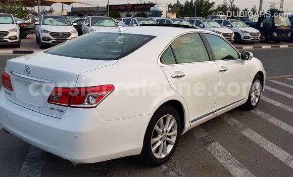 Buy Import Lexus ES White Car in Import - Dubai in Kailahun Buy Import Lexus ES White Car in Import - Dubai in Kailahun